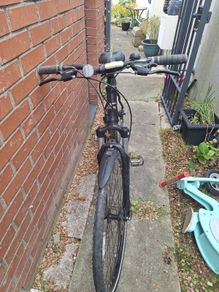 bike adults