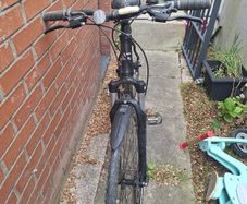 bike adults