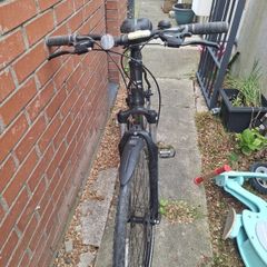 bike adults
