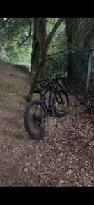 Carerra vengance wheelie bike