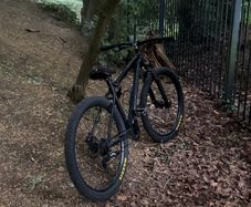 Carerra vengance wheelie bike
