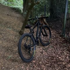Carerra vengance wheelie bike