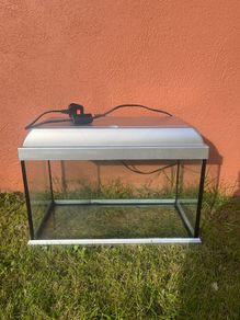 Fish Tank