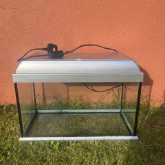 Fish Tank