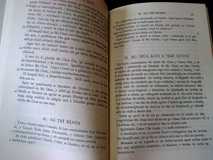 Stories from Keating's history of Ireland Irish language Gaeilge