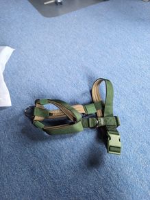 Dog Harness