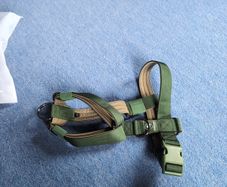 Dog Harness