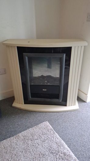 Electric fire