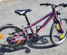 Child's Bike - 20inch Cube Acid