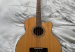 Richwood Artist Series Acoustic Bass Guitar
