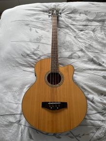 Richwood Artist Series Acoustic Bass Guitar