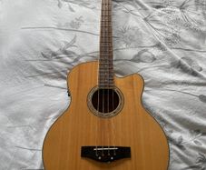 Richwood Artist Series Acoustic Bass Guitar