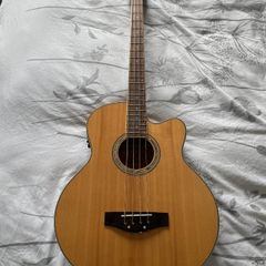 Richwood Artist Series Acoustic Bass Guitar