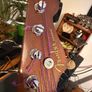Fender Kingman Bass Image 3