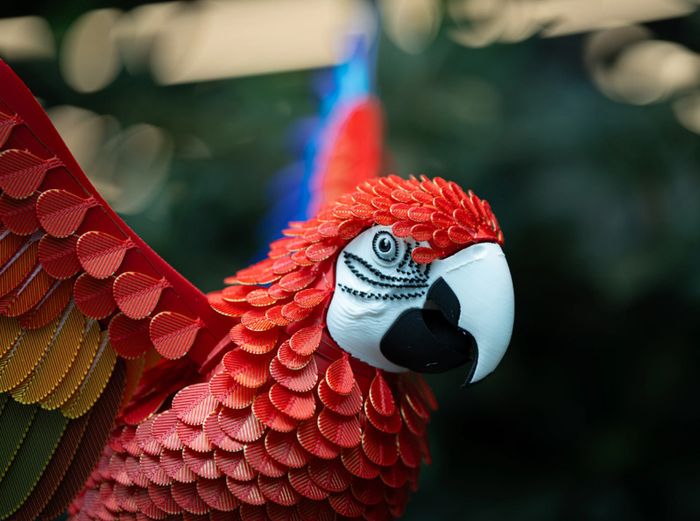 3D Printed Lifesize Macaw