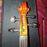 Electric viola/s Image 9