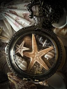 Boho Beach Seaside Starfish Brass Locket Pocket Watch  Necklace Vintage Antique Summer