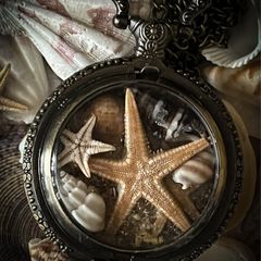 Boho Beach Seaside Starfish Brass Locket Pocket Watch  Necklace Vintage Antique Summer