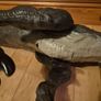 Large Dinosaur Image 4