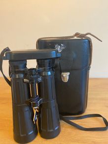 Binoculars: ZEISS Dialyt 8x56 B