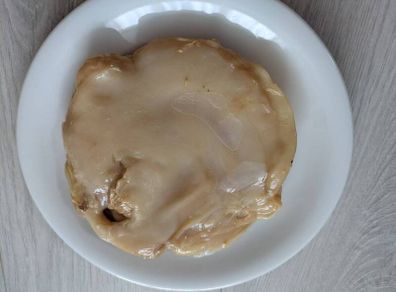 Fresh Kombucha SCOBY Strong Starter Tea Healthy Home Brew