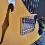 Fender Thinline Telecaster Image 9