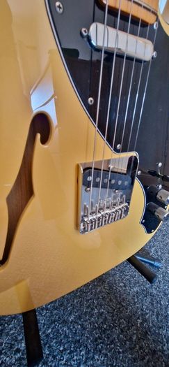 Fender Thinline Telecaster