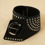 Belt Image 2