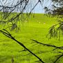 Deer hunting Image 3