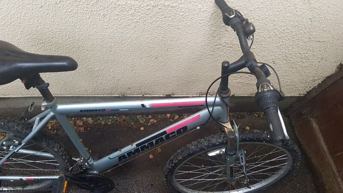 Mountain bike