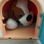 Cute stuffed dog and dog house Image 2