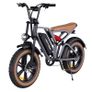Happyrun G60 Electric Bike Image 5
