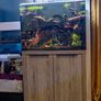 Fish Tank and Stand Image 3