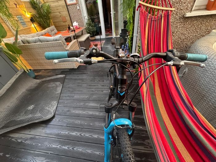 Team Hardtail bike