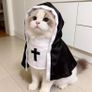 Pet Halloween Costumes Image 4