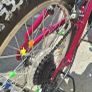 Apollo Charm 20 kids bike Image 3