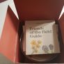 Field Day Winter Soy Wax Candle - cinnamon, clove and orange - 190 grams - Boxed Brand new Image 5