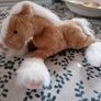 Poney Plush Soft Toy Image 2