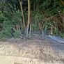 Galvanised Welded Wire Mesh Panels and galvanised steel posts/rails Image 2