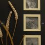 Photo Album NEW origins value Eur49 Image 5