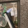 reptile viv & accessories Image 4