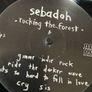 Sebadoh - Rocking The Forest Image 3