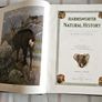 Harmsworth Natural History, 3 Volumes, Antique Image 4