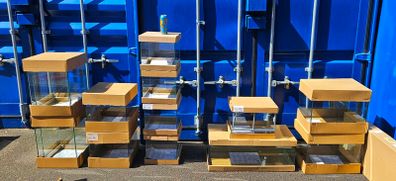 Glass Aquariums