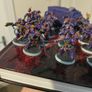 Warhammer 40k Emperor's Children Image 5