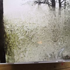Bon Iver - For Emma, Forever Ago CD
