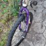 bike, teen or small adult, bicycle Image 2
