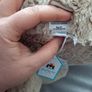 Jellycat Bunny Image 2