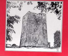 The Castles Of Cork - James N. Healy