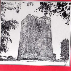 The Castles Of Cork - James N. Healy